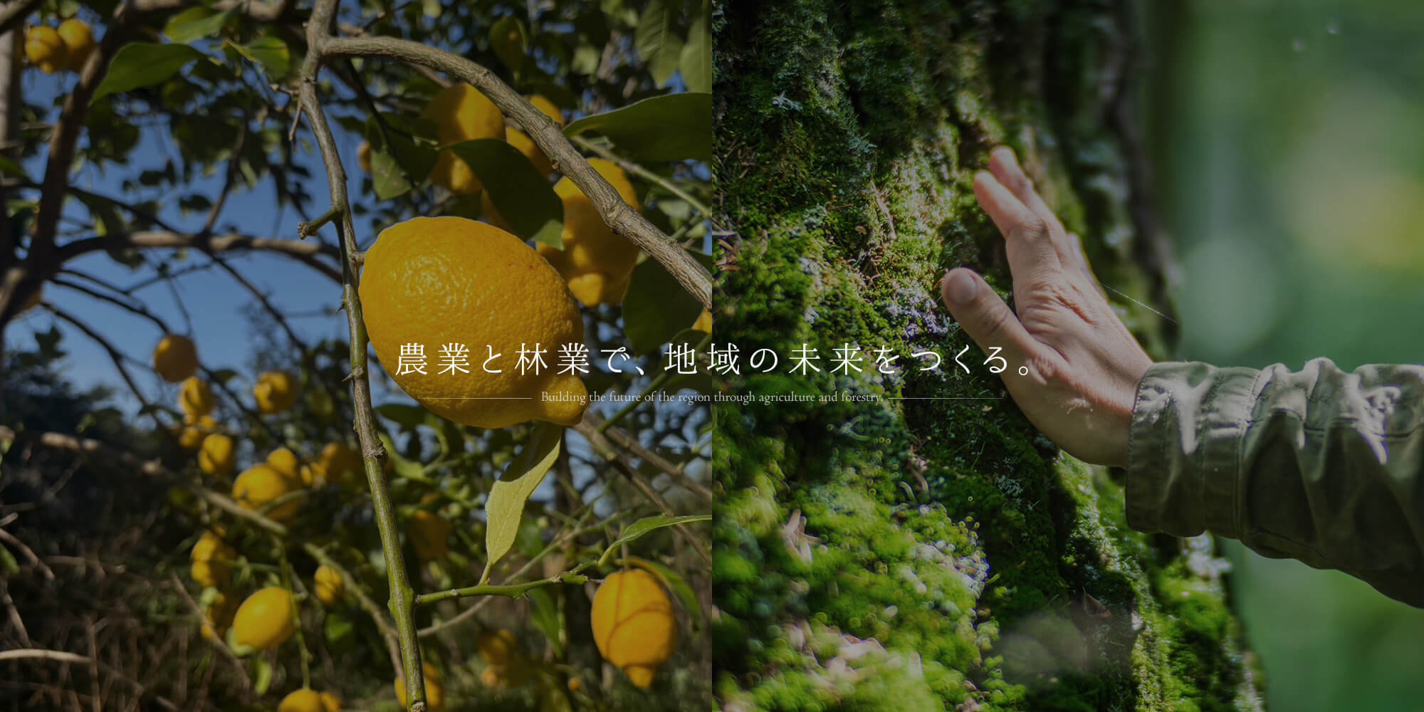 農業と林業で、地域の未来をつくる